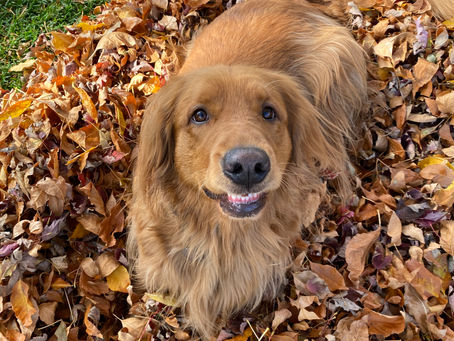 What is Really Going To Make You Happy?