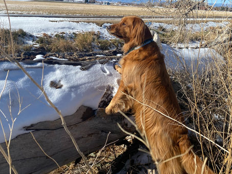 Create Systems For Success