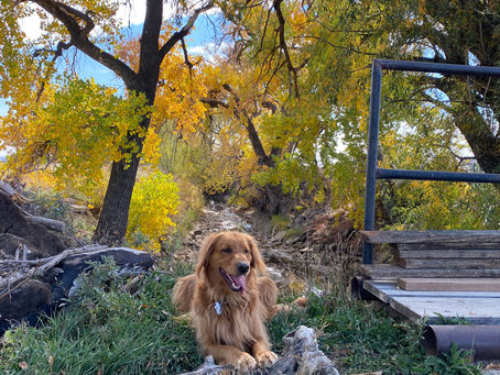 Learning To Take Your Time