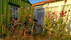 Oléron la Lumineuse