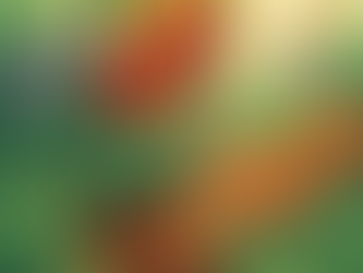 אפשר לכתוב ספרים בסיוע ג'מיני מותאם וגם איורים