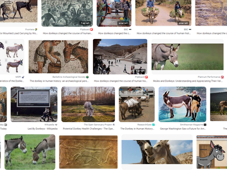 How donkeys changed the course of human history