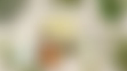 Pele acneica e oleosa: conheça a rotina de limpeza ideal para combater oleosidade, espinhas e cravos