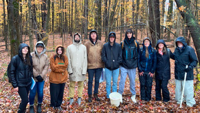 Trail Crew Work Party at the Houghton & Furman Preserves: Monday, June 22