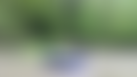 Alexander Rafting Trip and Cattaraugus Creek Cleanup