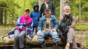 NSSWNY’S Traditional Bluebells Hike