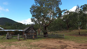 20190320_104637.jpg