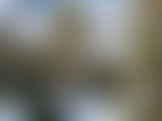 Økt risiko i områder med rotvelter og vindfall