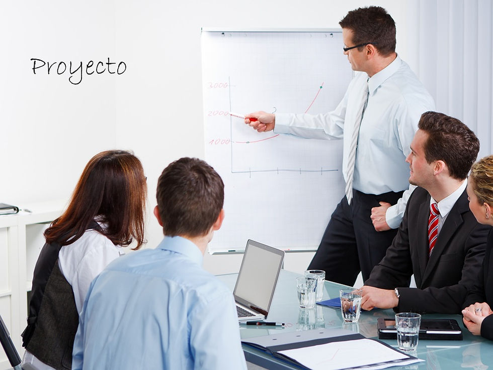 El proyecto
