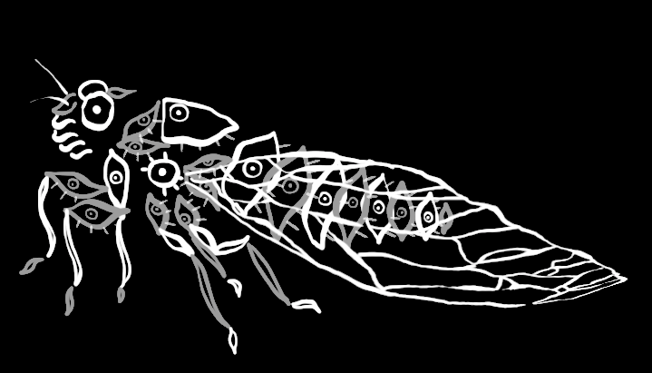 cicada-bw.gif