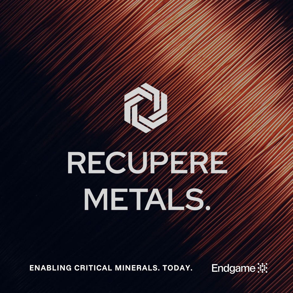 Endgame Capital: Why We Invested in Recupere Metals