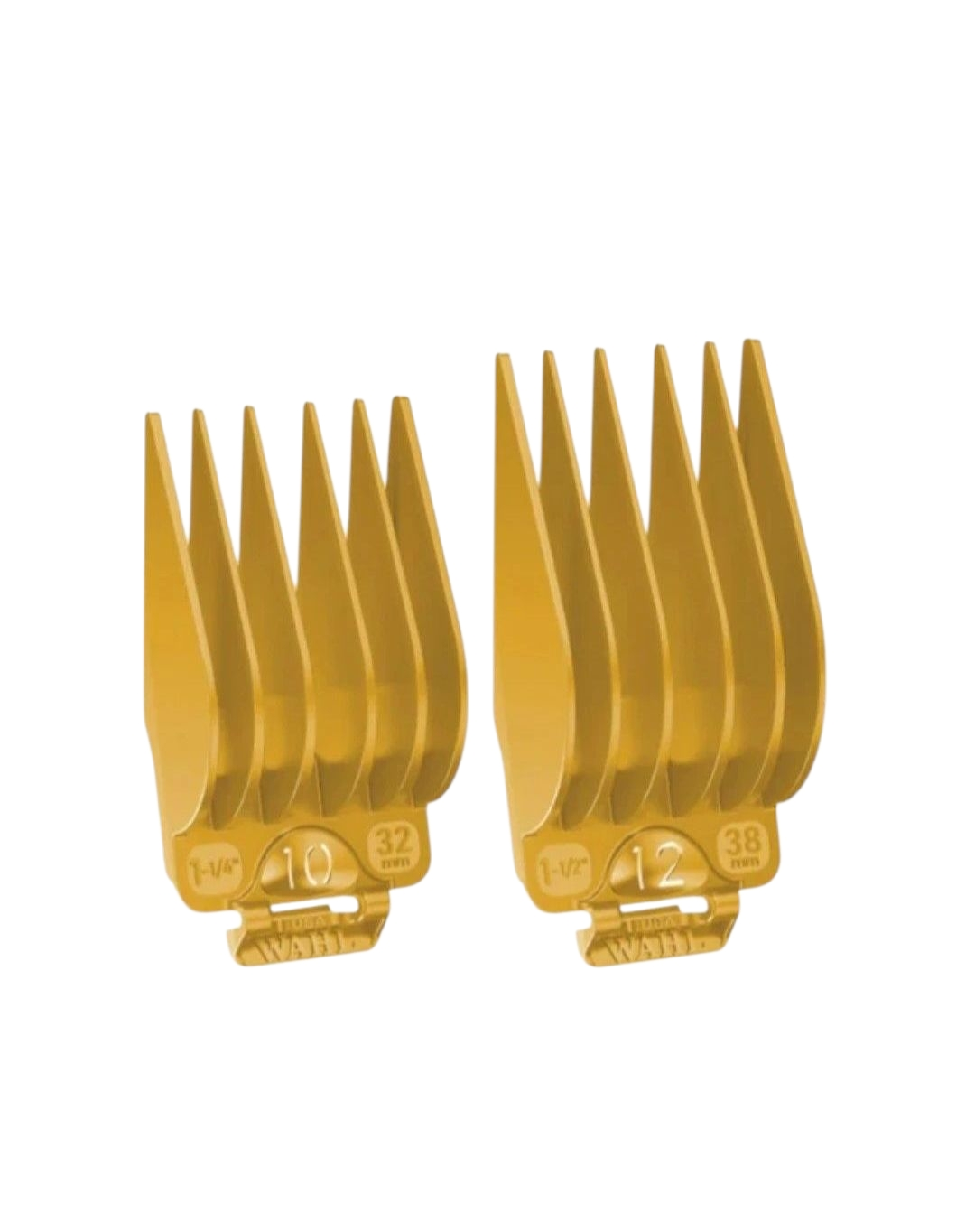 Wahl 10, 12 Guards