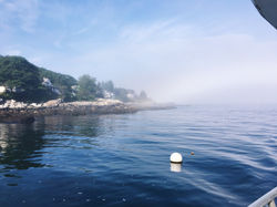 8C7C70CB-995B-4A85-8C5F-AA4AE37E03F9