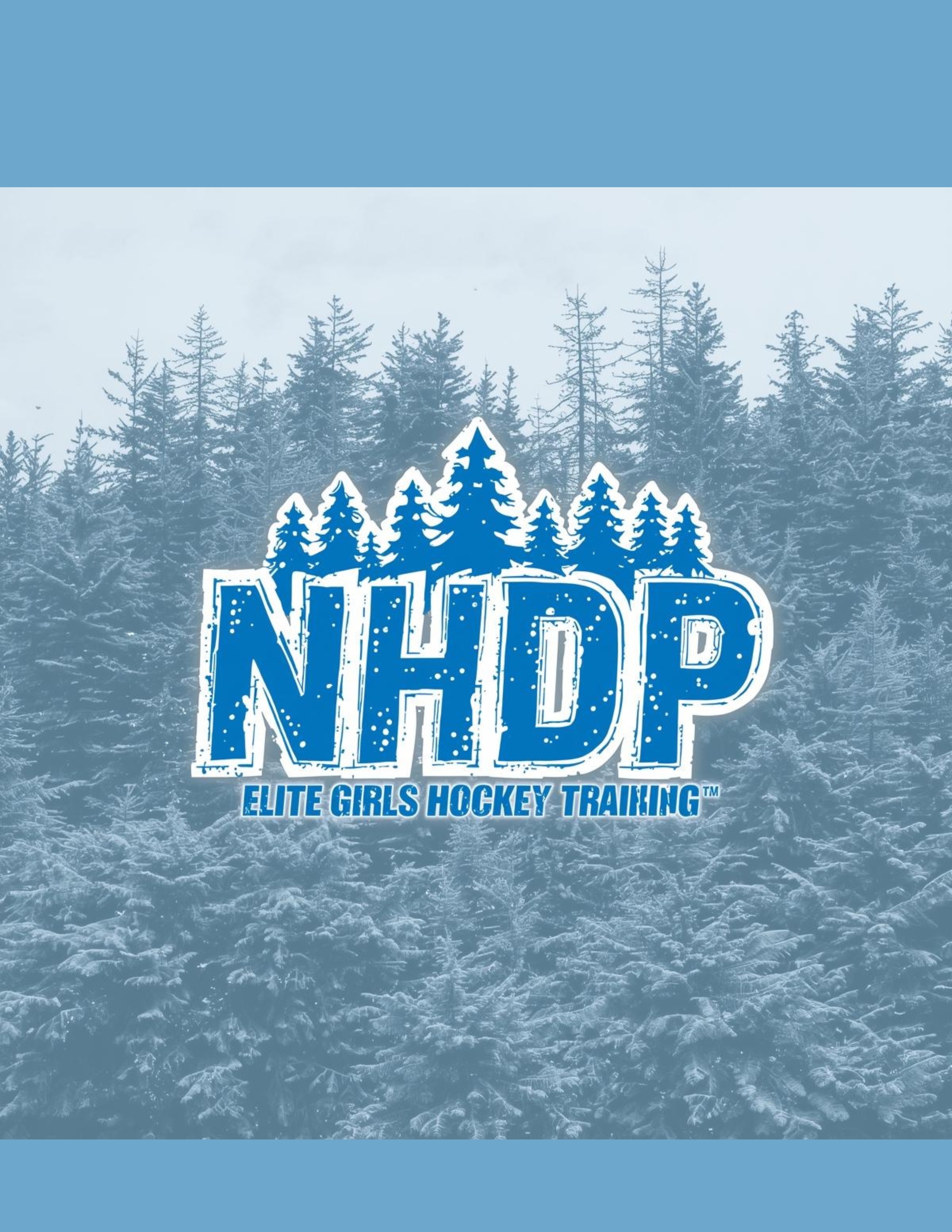 Spring 3v3 | NHDP