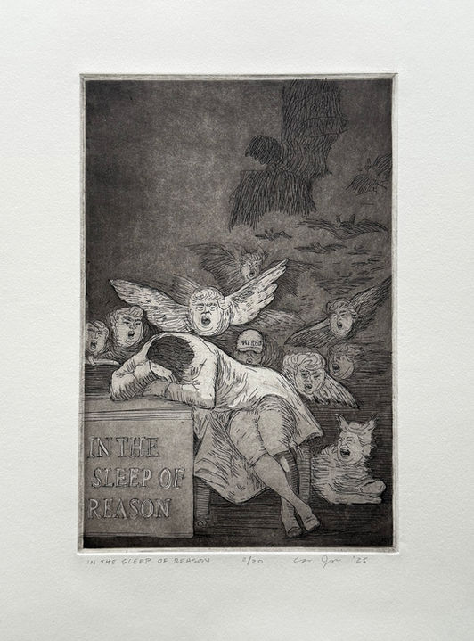 In The Sleep of Reason