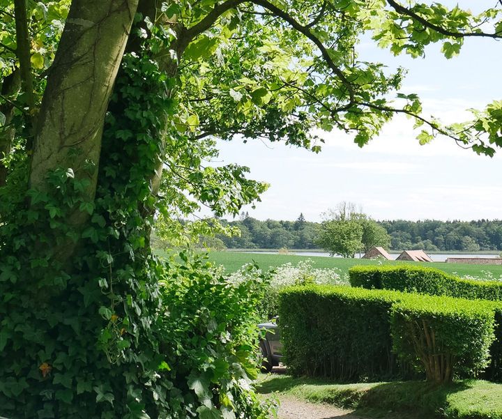 Private garden area at Rose Cottage with direct access to estate grounds, ideal for walking dogs and enjoying the surrounding countryside.