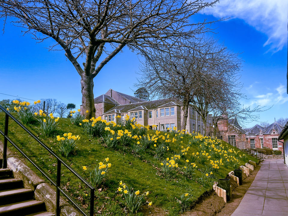 Estate Grounds