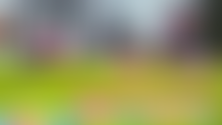 Group of children taking part in an Easter egg hunt at Kilconquhar Castle Estate in Fife, Scotland, showing family-friendly activities and outdoor space for guests on self-catering holidays with on-site leisure facilities