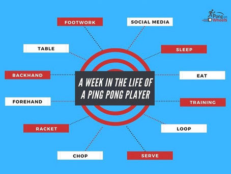 The life of a Ping Pong Player