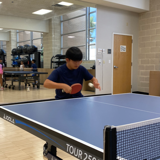 table tennis, ping pong, league