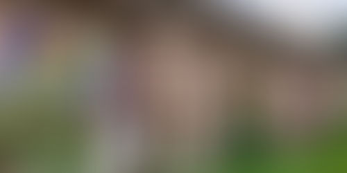 Région du Shekhawati: la plus grande galerie d'art à ciel ouvert de l'Inde