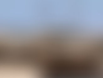 Israël : 600 anciens hauts responsables sécuritaires appellent Donald Trump à intervenir pour mettre fin à la guerre à Gaza