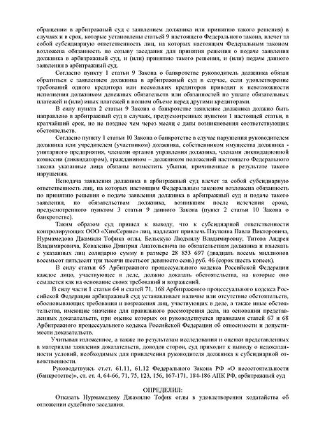 СубсидиаркаХимСервис_Страница_2.jpg