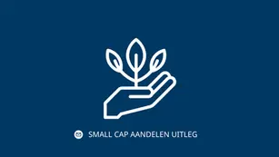 De beste small cap aandelen 2025