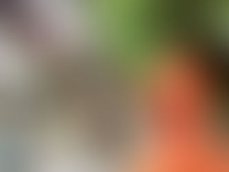 Highlander Brigade Flood Relief Campaign 2020