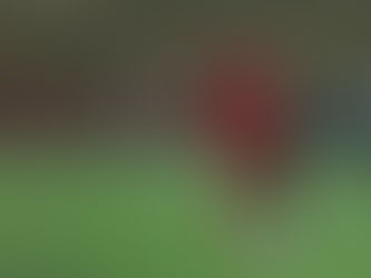 HB Live: Keegan Pereira, from the diaries of ISL 5