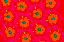pattern