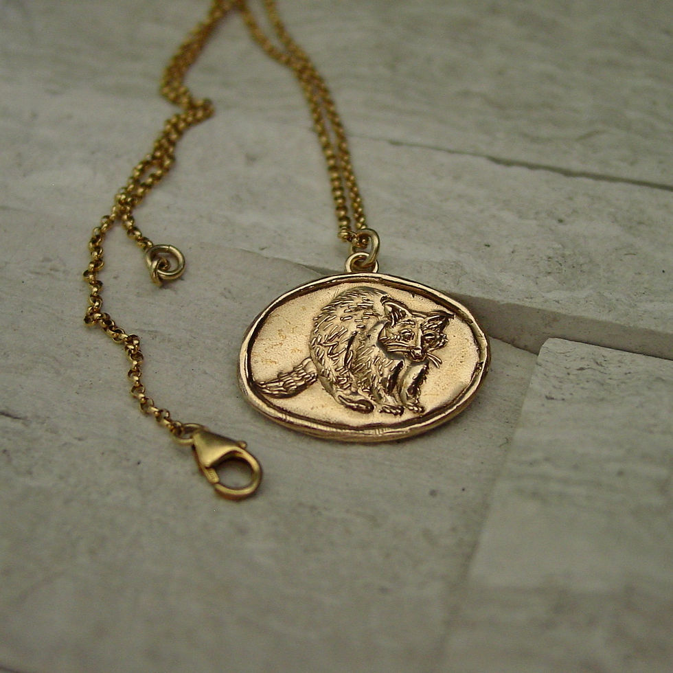 Thumbnail: American Raccoon Necklace on limestone