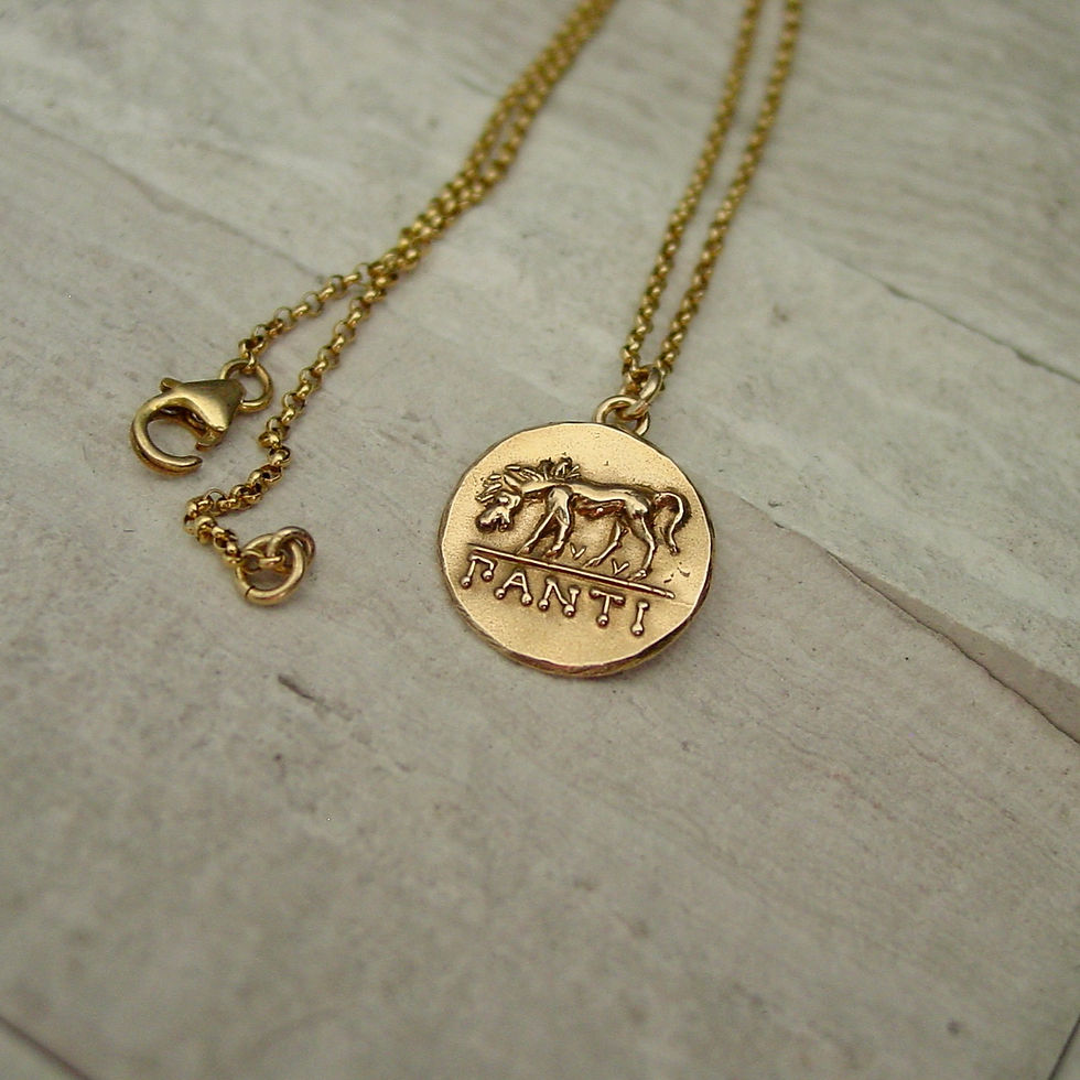 Thumbnail: Horse coin necklace on limestone
