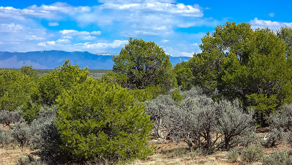 Taos---Tres-Piedras--31.jpg