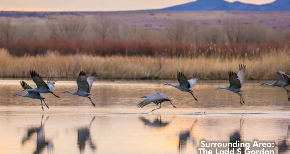 Socorro County, NM - 25