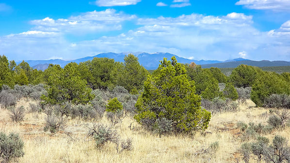 Taos---Tres-Piedras--23.jpg