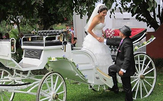boda carruaje blanco.jpg
