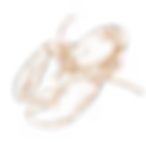 Untitled.png
