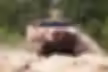 ree