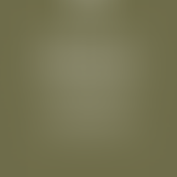 Наказ головнокомандувача ЗСУ №140 від 11.09.2020р. Про затвердження тимчасового порядку оформлення оперативних (бойових) документів. Частина 1.