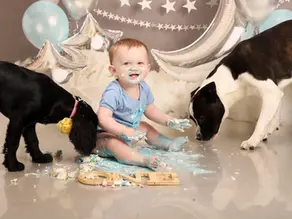 Let Us Turn Your Family’s Milestones into Timeless Works of Art!