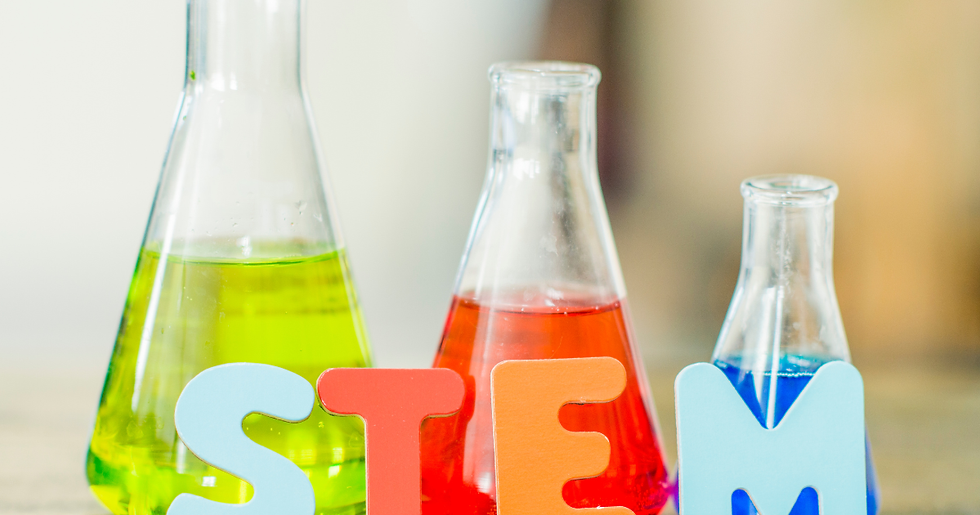 STEM Toys for Little Learners: Smart Picks for Curious Toddlers