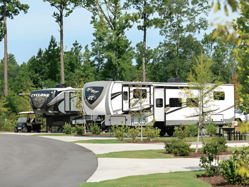 Two large RVs parked on a paved area surrounded by lush trees and greenery. The RVs have decorative graphics and the setting is calm.