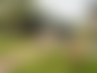 10 Essential Tips for Traveling with Pets in Your RV