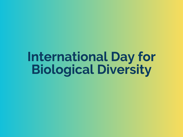 The Crucial Battle for Biological Diversity