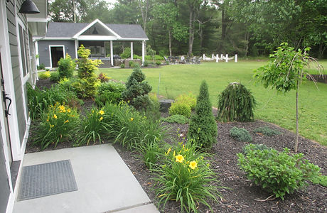 walters and donoff 013.JPG