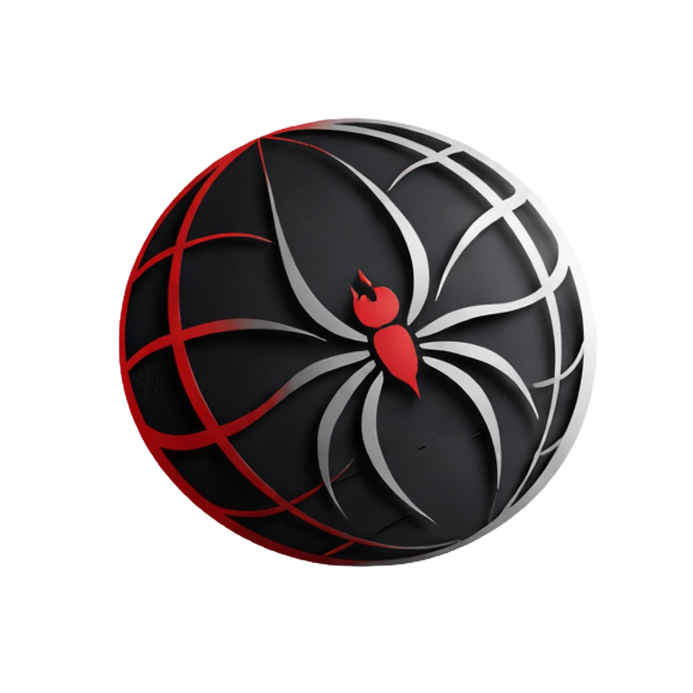 spyder 360_edited.png