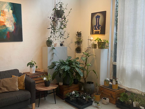 Zithoekje indoor jungle