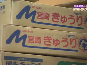 ■「川島宏治のTHEひろしま・プラス1」で紹介されました。2016.4.30～2016.5.6