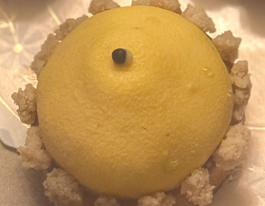 Lemon tamarind tart — Petits gateaux at Madina Breeze Fine Pastry
